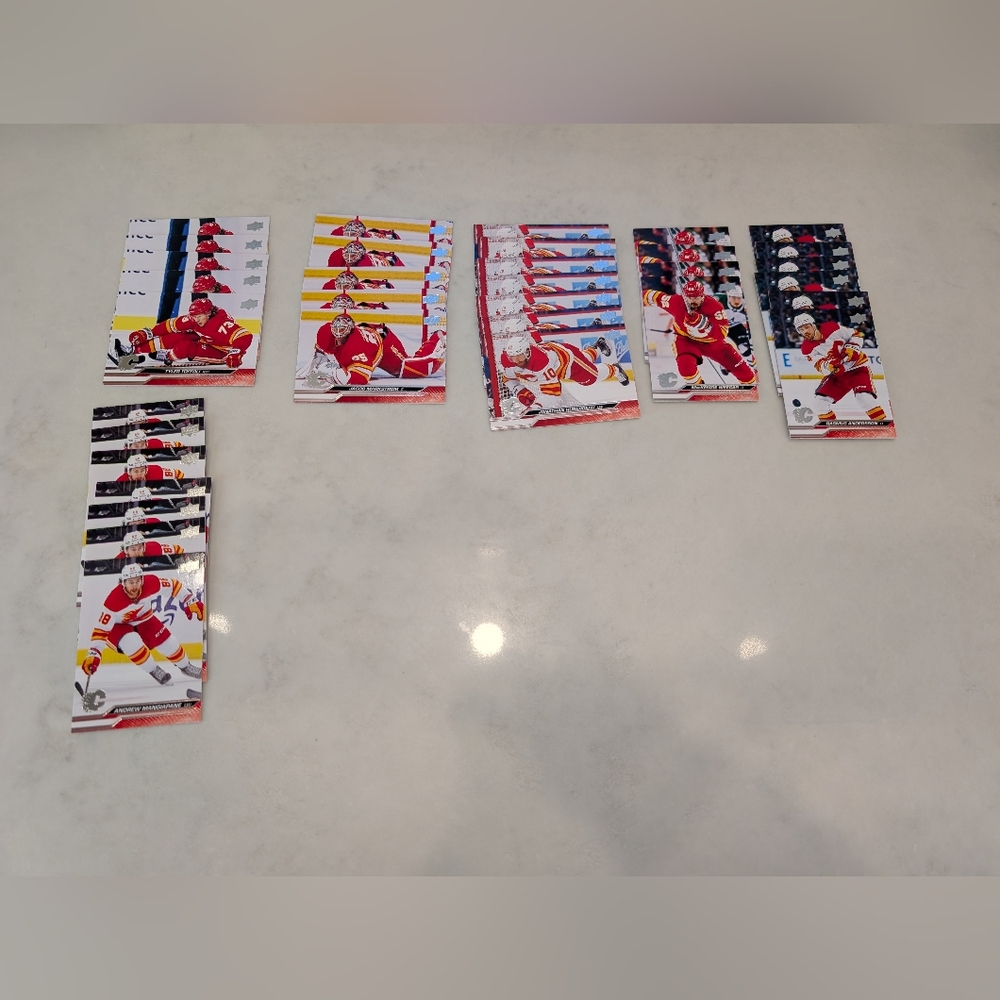 2023-24 Upper Deck Series 2 Hockey Cards Calgary Flames